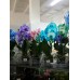 Голубая, Синяя Орхидея Каскад
